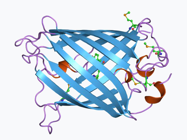 PDB_1ema_EBI.jpg